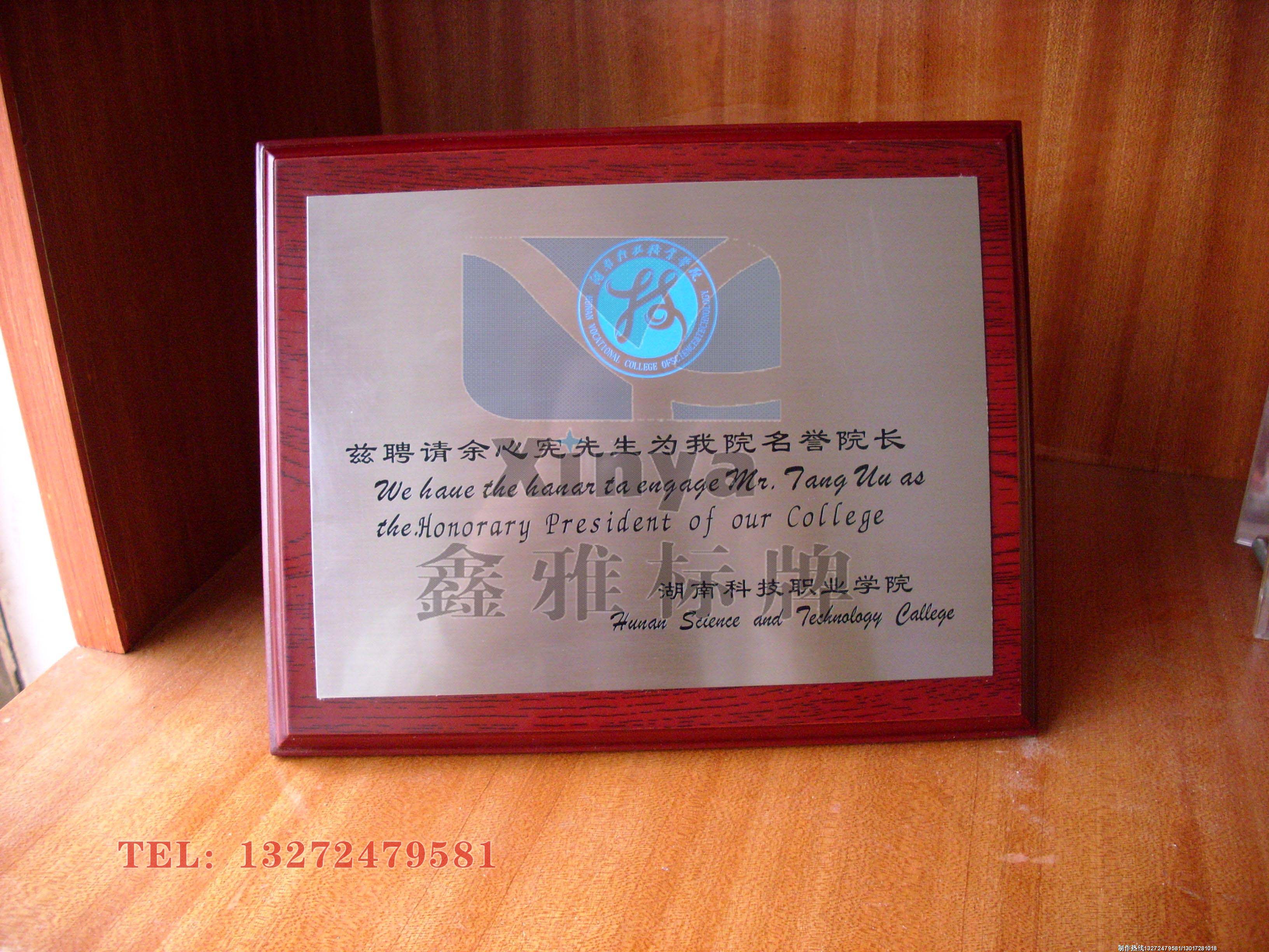 湖南科技学院奖牌